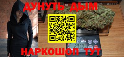 тгк Гай