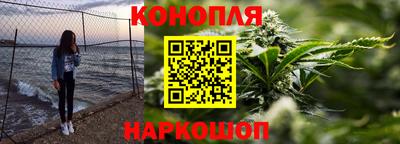 тгк Гай