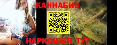 тгк Гай