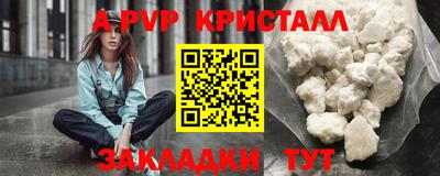 тгк Гай
