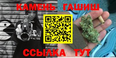 тгк Гай
