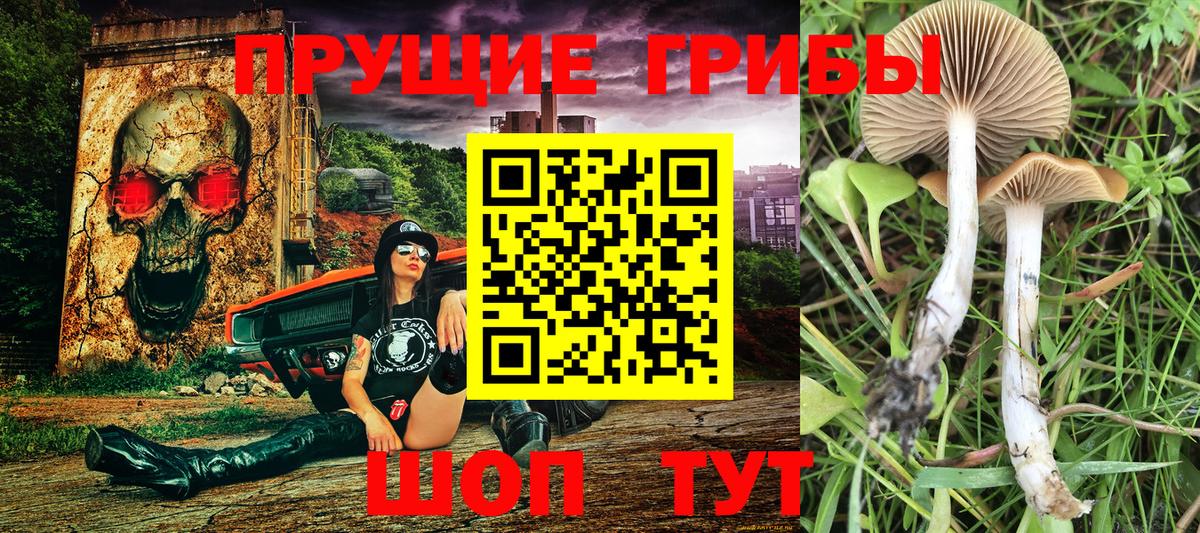 Галлюциногенные грибы MAGIC MUSHROOMS Малоярославец
